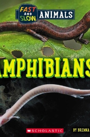 Cover of Amphibians (Wild World: Fast and Slow Animals)