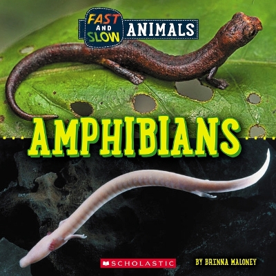 Book cover for Amphibians (Wild World: Fast and Slow Animals)