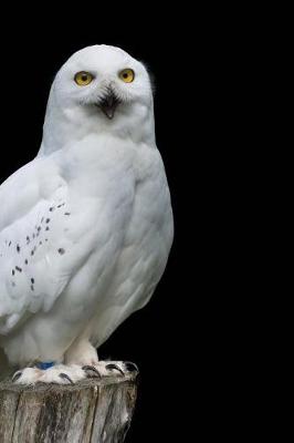 Book cover for Stunning Snow Owl Raptor Journal