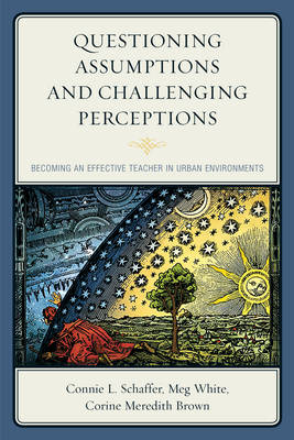 Book cover for Questioning Assumptions and Challenging Perceptions