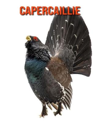 Book cover for Capercaillie