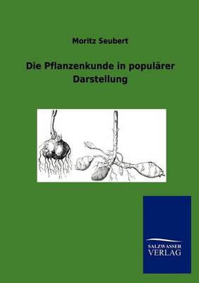 Book cover for Die Pflanzenkunde in populärer Darstellung