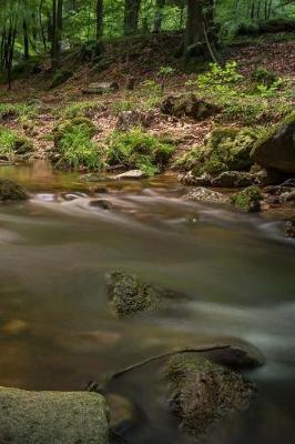 Book cover for River Notebook