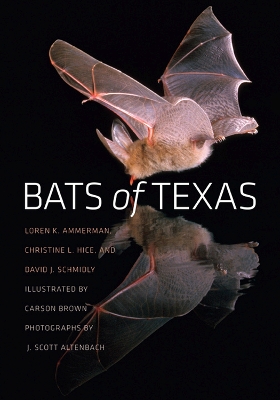 Cover of Bats of Texas