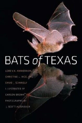 Cover of Bats of Texas