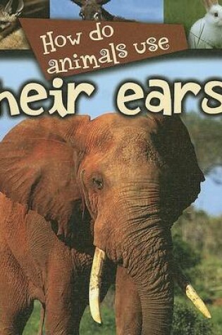 Cover of How Do Animals Use Their Ears?