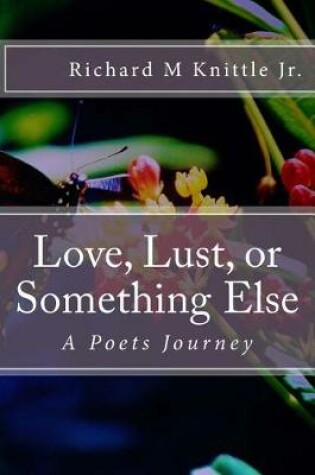 Cover of Love, Lust, or Something Else