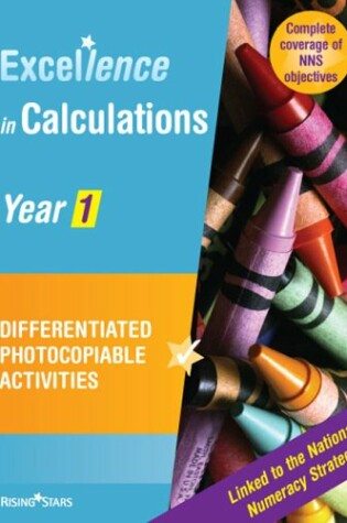 Cover of Excellence in Calculations Year 1, Photocopiable Activities