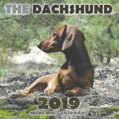 Book cover for The Dachshund 2019 Mini Wall Calendar