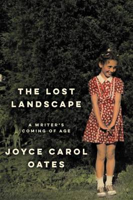 Book cover for The Lost Landscape