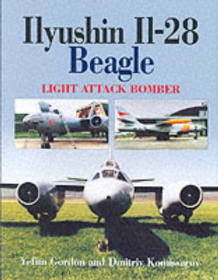 Book cover for Ilyushin Il-28 Beagle