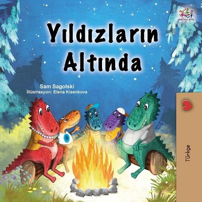 Book cover for Under the Stars (Turkish Children's Book)