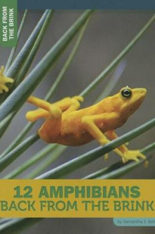 Cover of 12 Amphibians Back from the Brink