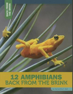 Book cover for 12 Amphibians Back from the Brink