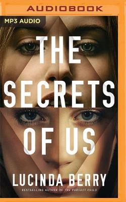 Book cover for The Secrets of Us