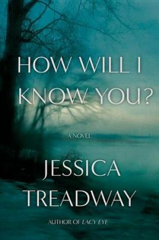 Cover of How Will I Know You?