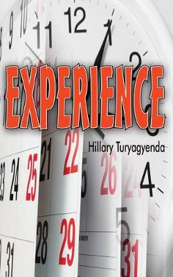 Book cover for Experience