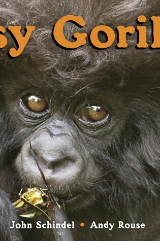 Cover of Busy Gorillas