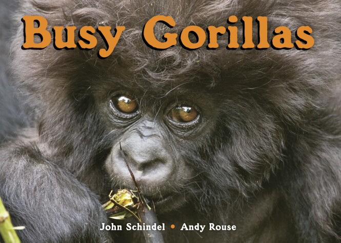 Cover of Busy Gorillas