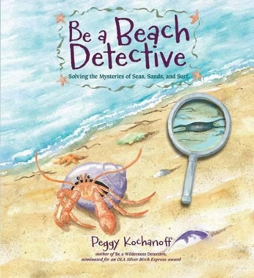 Book cover for Be a Beach Detective