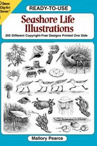 Cover of Rtu Seashore Life Illustrations