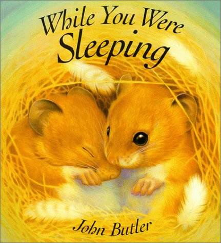 Book cover for While You Were Sleeping