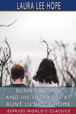 Book cover for Bunny Brown and His Sister Sue at Aunt Lu's City Home (Esprios Classics)