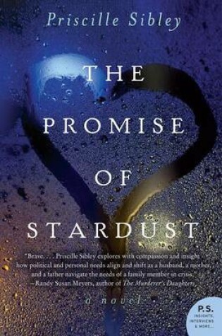 Cover of The Promise of Stardust
