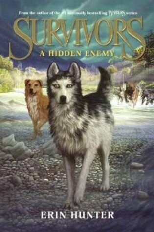 Cover of Hidden Enemy