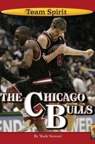 Cover of The Chicago Bulls