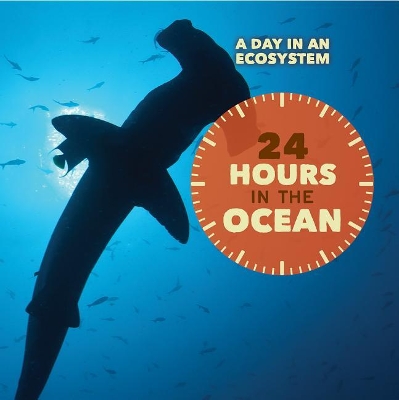 Cover of 24 Hours in the Ocean