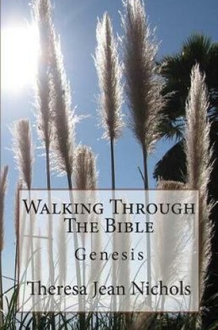 Cover of Walking Through The Bible