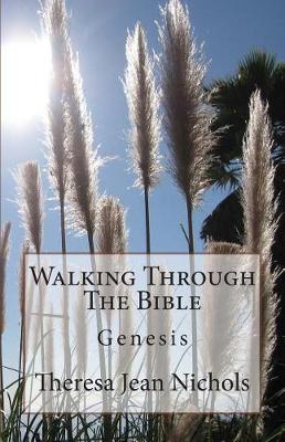 Book cover for Walking Through The Bible