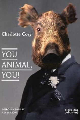 Cover of You Animal, You!