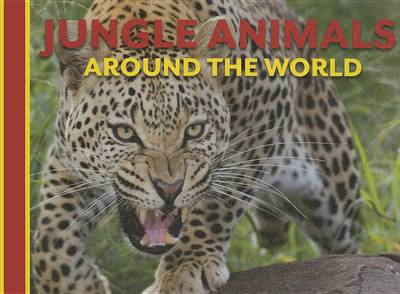 Book cover for Jungle Animals Around the World