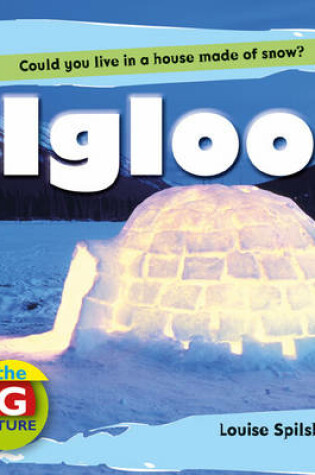 Cover of Igloo