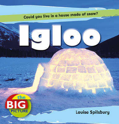 Book cover for Igloo