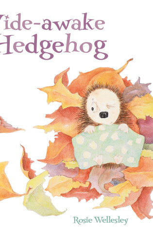 Cover of Wide-awake Hedgehog