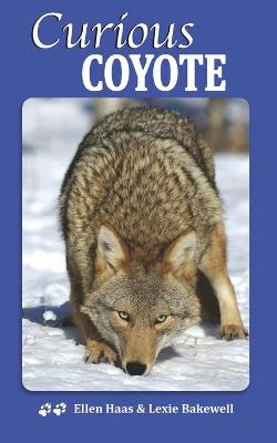 Book cover for Curious Coyote