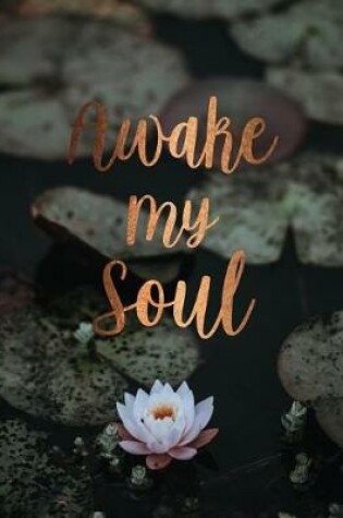 Cover of Awake my soul