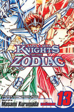 Cover of Knights of the Zodiac (Saint Seiya), Vol. 13