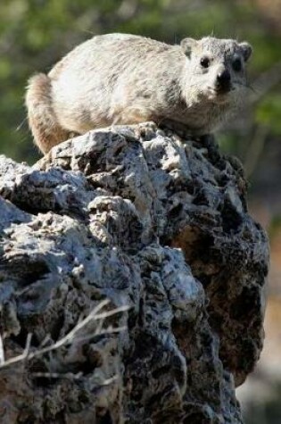 Cover of Procavia Capensis Cape Hyrax High on a Rock Outcropping Journal