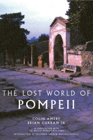 Cover of The Lost World of Pompeii