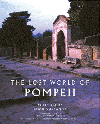 Book cover for The Lost World of Pompeii