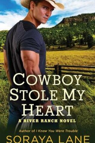Cover of Cowboy Stole My Heart