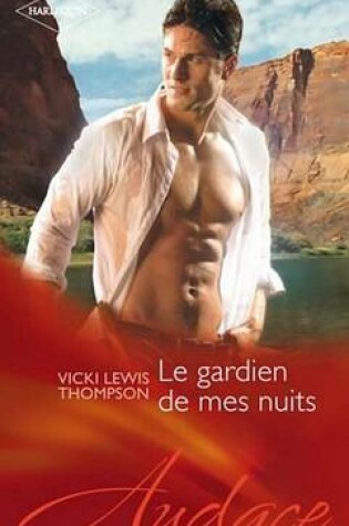 Cover of Le Gardien de Mes Nuits