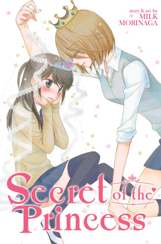 Cover of Secret of the Princess