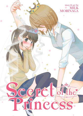 Book cover for Secret of the Princess