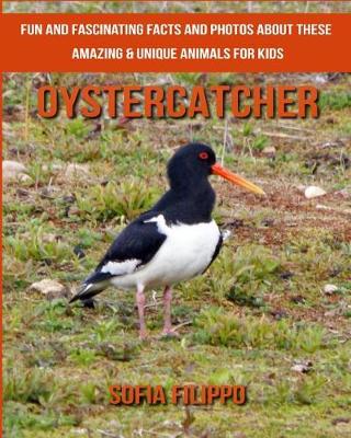 Book cover for Oystercatcher