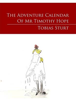 Book cover for The Adventure Calendar of Mr Timothy Hope